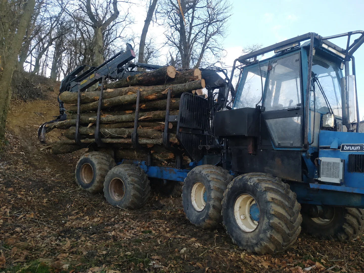 03-esbosco-mezzo-forestale